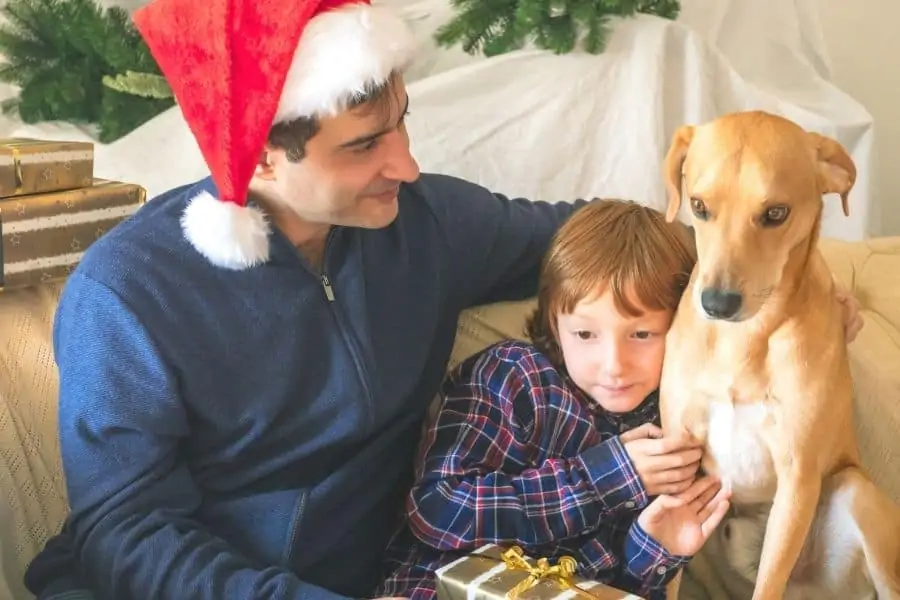 Christmas Dangers For Your Delaware Pet