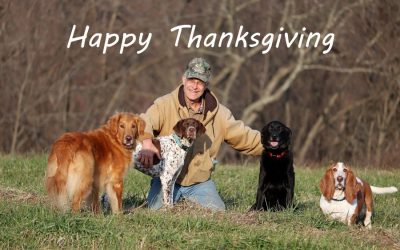 Thanksgiving Pet Safety Tips For Enjoying The Holiday Stress Free!