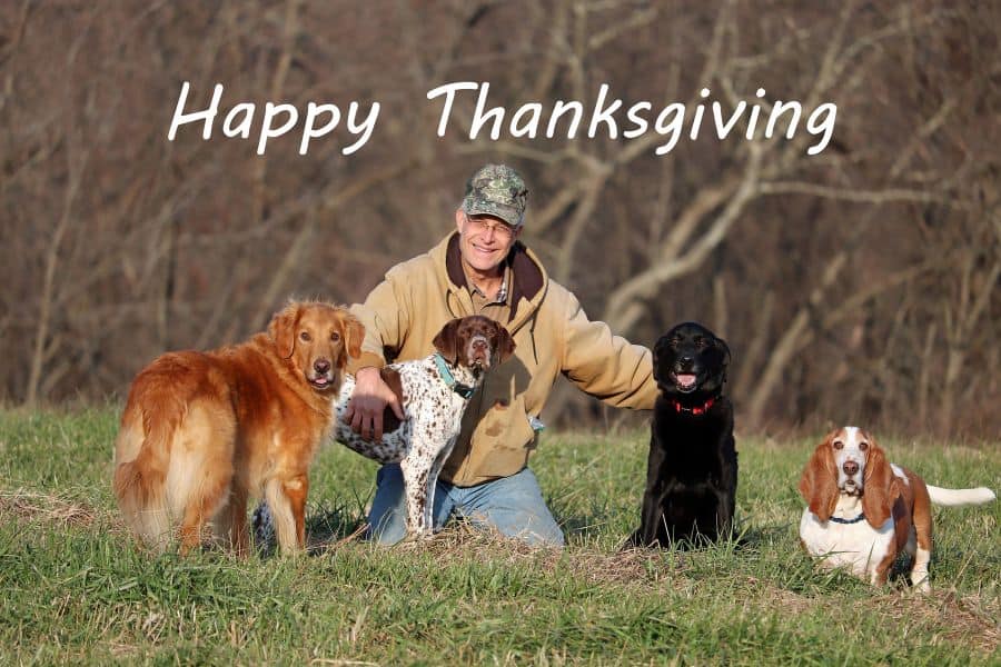Thanksgiving pet Safety Tips