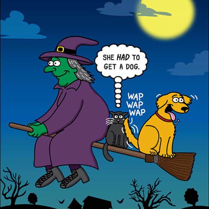 Halloween Safety for Pets