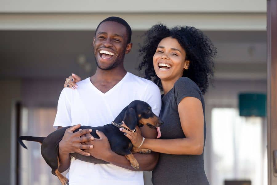 A Guide to Choosing the Right Pet for Your Lifestyle