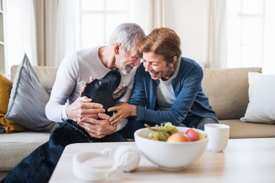 Choosing the Right Pet for Your Lifestyle