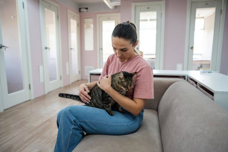 How to Choose the Perfect Pet Sitter in Newark Questions to Ask Before You Book