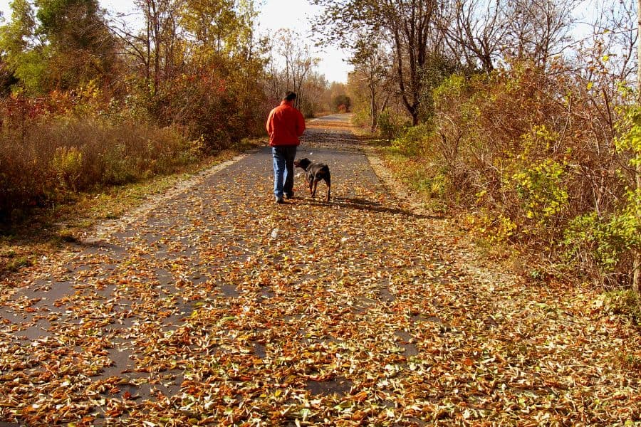 Dog Walking Safety Tips for Shorter Days in Newark, DE