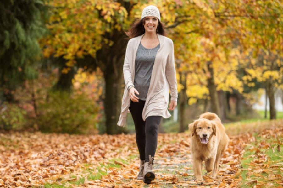 Fall Dog Walking Safety Tips for Shorter Days in Newark, DE