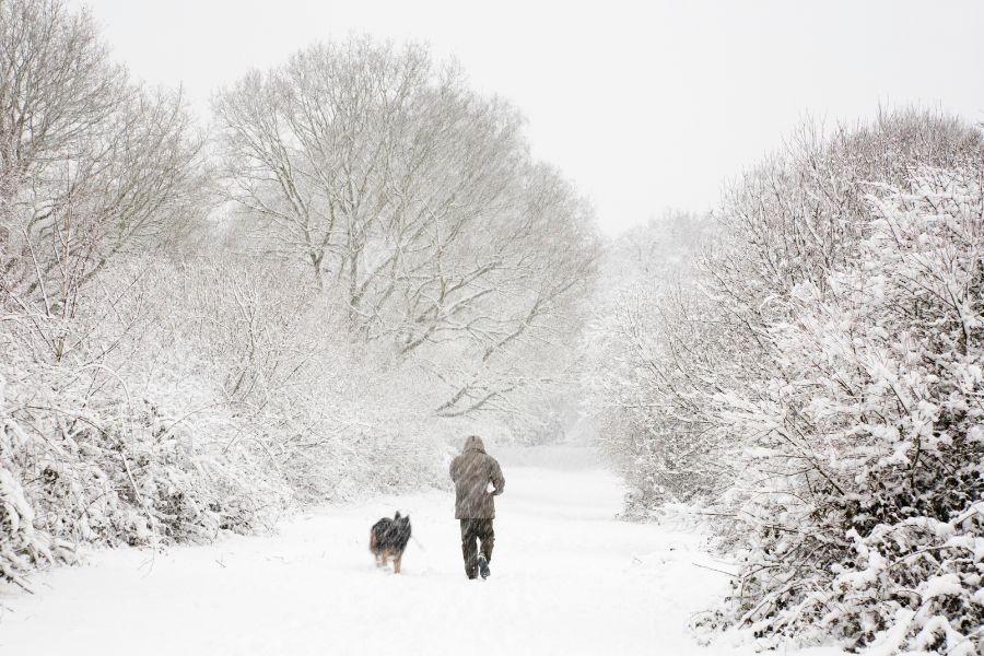 Bathing Pets in Winter How Often Is Best for Your Dog