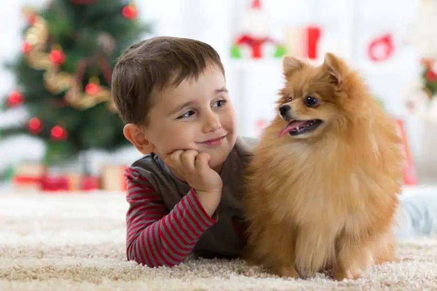 Benefits of Hiring a Dog Walker for Your New Puppy in 2026