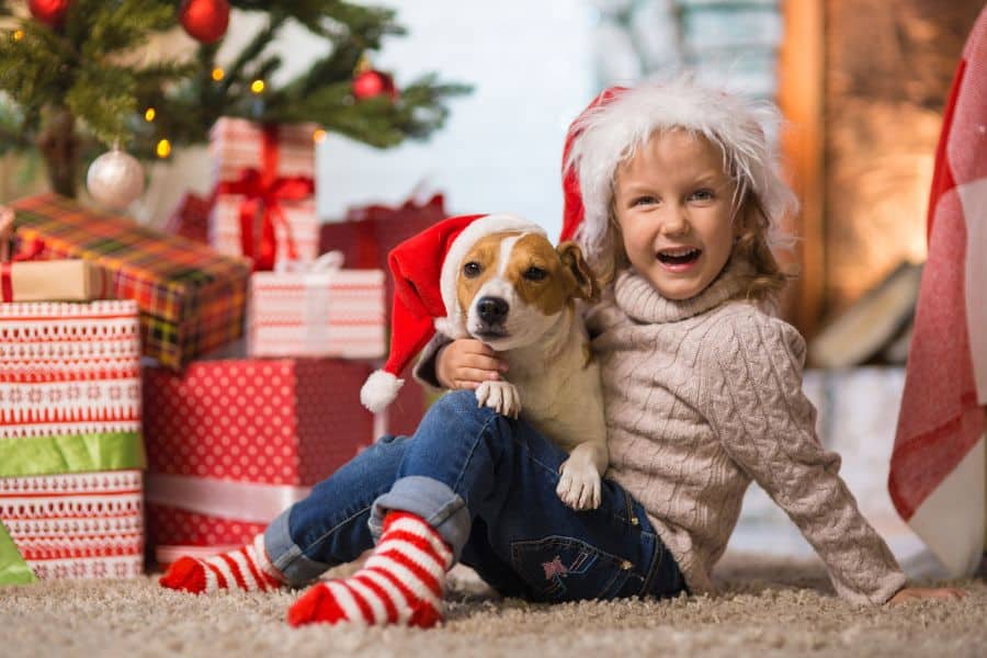 The Benefits of Hiring a Dog Walker for Your New Puppy in 2026
